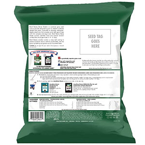Jonathan Green (10622) Black Beauty Dense Shade Grass Seed - Cool Season Lawn Seed (1 lb)