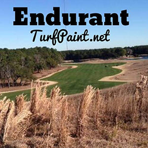 Endurant Turf Colorant – 1 Gallon Jug Revitalizes Approximately 5,000 Sq. Ft of Dormant, Drought-Stricken or Patchy Lawn