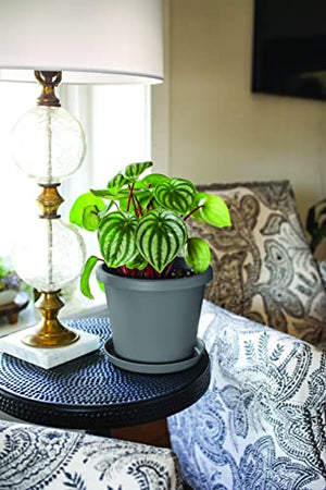 The HC Companies 21 Inch Round Prima Plastic Plant Saucer - Indoor Outdoor Plant Trays for Pots - 21.22 Inchx21.22 Inchx2.52 Inch in Warm Gray