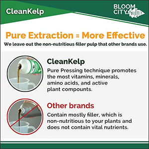 Organic Liquid Seaweed and Kelp Fertilizer Supplement by Bloom City, Quart (32 oz) Concentrated Makes 180 Gallons