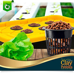 XL Expanded Clay Pebbles Grow Media for Orchids, NFT DWC Hydroponics, Aquaponics, Aquaculture LECA Plant Garden Soil Conditioner Amendment Ceramsite Aggregate (2 LB Cz Expanded Clay Pellets)