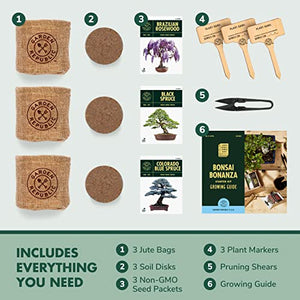 Bonsai Tree Kit - Grow 3 Mini Bonsai Trees, Indoor Plant Growing Kit - Bonsai Starter Kit with Bonsai Seeds, Soil, Planters & Shears, Gardening Gifts for Women, Fathers Day Gardening Gifts