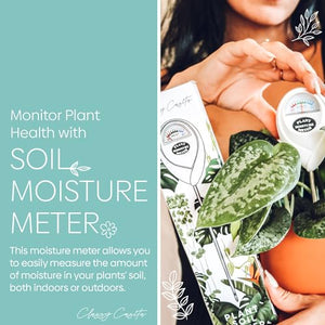 Classy Casita Soil Moisture Meter: Houseplant Care with eBook - Hydrometer Sensor For Plants - Essential Moisture Meter for Indoor & Outdoor Plants - Gardening Gadgets & Houseplant Accessories - White