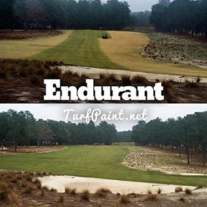 Endurant Turf Colorant – 1 Gallon Jug Revitalizes Approximately 5,000 Sq. Ft of Dormant, Drought-Stricken or Patchy Lawn