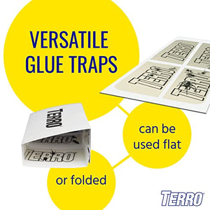 TERRO T3206SR Non-Toxic Indoor Spider, Ant, Cockroach, Centipede, and Crawling Insect Trap - 12 Traps