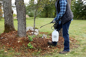 Flo-Master by Hudson 24101 1 Gallon Lawn and Garden Tank Sprayer, Translucent
