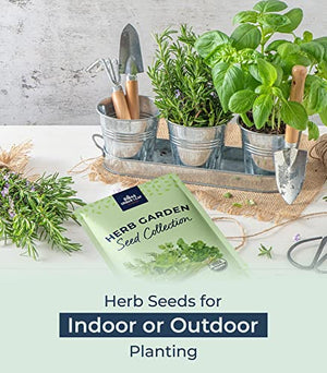 Organic Herb Seeds for Planting, Indoor Outdoor and Hydroponic Garden, incl Basil Cilantro Mint and Dill Seeds, Non GMO and USDA Certified Organic, Gardening Variety Pack