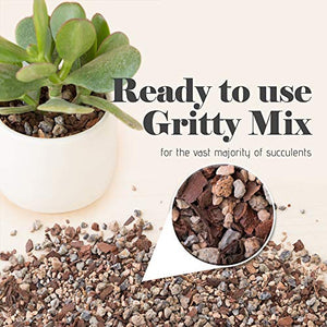 Bonsai Jack Succulent and Cactus Soil - Jacks Gritty Mix #111 - 2 Quarts – Fast Draining – Fight Root Rot – Optimized pH