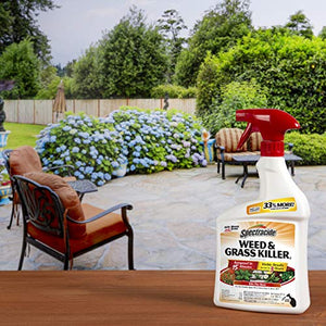 Spectracide Weed & Grass Killer 2, Use On Driveways, Walkways and Around Trees and Flower Beds, 32 fl Ounce Spray