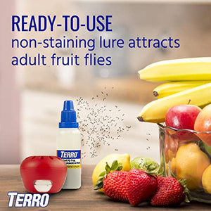 TERRO T2503SR Ready-to-Use Indoor Fruit Fly Killer and Trap with Built in Window - 4 Traps + 180 day Lure Supply