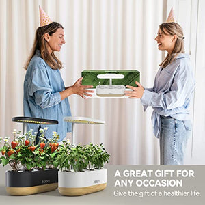 inbloom Hydroponics Growing System 10 Pods, Indoor Herb Garden with LEDs Full-Spectrum Plant Grow Light, Water Shortage Alarm, Automatic Timer, Height Adjustable, Ideal Gardening Gifts for Women