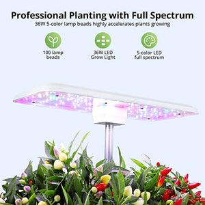 Agrestem Hydroponics Growing System 12 Pods, Indoor Garden Up to 23", Indoor Growing System with 100 36W LED Grow Light of 5 Colors, Tweezers, Automatic Timer and LED Full Spectrum