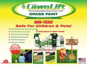 LawnLift Grass Painting Kit- Includes Professional 1 Gallon Sprayer & 64oz. (Gren) Ultra Concentrated Grass Paint Bottle = up to 5 Gallons Usable Product & Covers *up to 2000 Sq Ft. *Coverage Depends