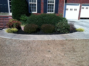 EnviroColor BF0032 851612002018 2,400 Sq. Ft. Black Forest Mulch Color Concentrate, 1 Quarts (Pack of 1)