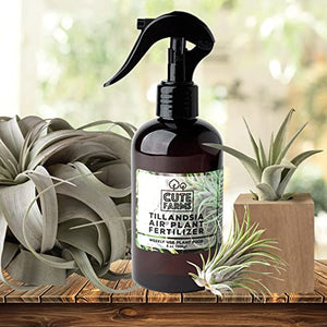 Cute Farms Tillandsia Air Plant Fertilizer | Gentle Weekly Use Formula Plant Food with Care Guide | Formulated Nutrients (8 oz. Spray Bottle)