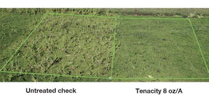 Tenacity Turf Herbicide - 8 ounces (Packaging may vary)