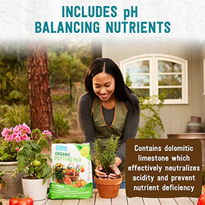 Back to the Roots All-Purpose Potting Soil (6 Quarts), 100% Organic & USA Made, for Indoor and Outdoor Plants, Succulents, Flowers, and Vegetables