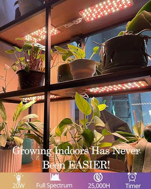 DOMMIA Grow Lights for Indoor Plants, 20W Full Spectrum Grow Light with Auto ON & Off Timer, 132 LEDs Sunlike Light for Hydroponics, Succulents & More, Easy to Assemble（2Pcs）