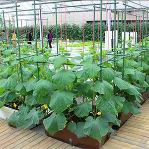 4Feet 48inch Garden Stakes Sturdy Plant Sticks Support Tomato Stakes for Vegetable,Pack of 20