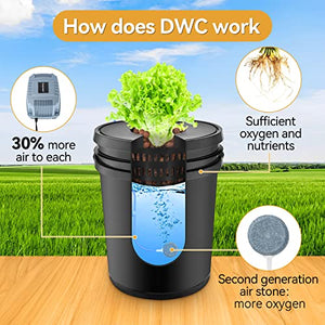 GROWNEER 6 Buckets + Air Pump DWC Hydroponic System, 5 Gallon Deep Water Culture Buckets with Air Stone and Water Level Device, Hydroponics Growing System for Indoor Outdoor Leafy Vegetables Herbs