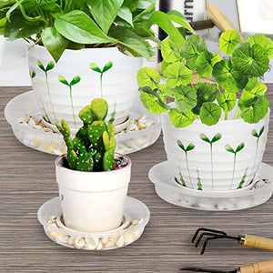 SupKing Plant Saucers 9 Packs of 6inch 8inch 10inch,Durable Clear Plastic Drip Tray Thicker Sturdier Plant Pot Saucers Stronger Flower Pot Tray for Indoors & Outdoors