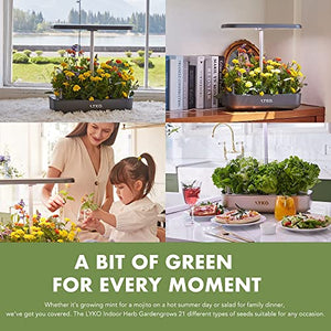 Hydroponics Growing System 12 Pods,LYKO Indoor Garden w/Full-Spectrum 36W Grow Light,Indoor Herb Garden Automatic Timer,Height Adjustable 3.5L Water Tank, Gifts for Men Women (Grey)