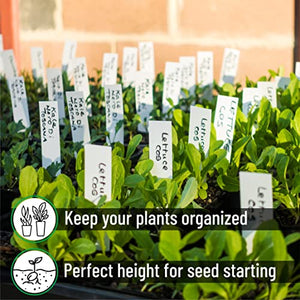 Mr. Pen- Plastic Plant Labels, 100 Pcs, 4“, White, Plant Markers and Labels for Outdoor Garden Waterproof, Plant Name Tags, Planting Sticks for Seeds