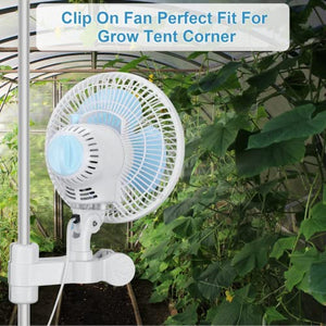 Fanspex 6" Grow Tent Fan Oscillating Clip on for Hydroponic, 0.59''-1'' Pole Mount with 8.2 Ft Long Cord, 39dB Quiet Operation, 2-Speeds
