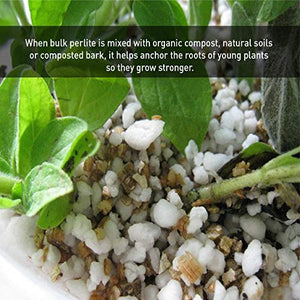 PVP Industries PVP105408 120 Quarts – 4 Cubic Foot of Organic Perlite Planting Soil Additive Gi, White