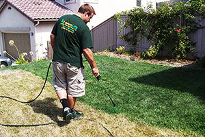 LawnLift Ready to spray Lawn paint. No Mixing required. Covers up to 100 sq. feet.