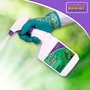 Bonide Sucker Punch, 16 oz Ready-to-Use Spray, Control Unwanted Plant Sprouts, Plant Growth Regulator for Home Garden