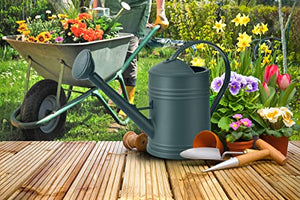 OKREK Watering Cans for House Plants, Small, Indoor/Outdoor Plants Garden Flower (1/2 Gallon, Black)