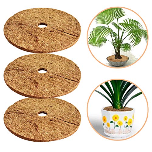 ZeeDix 3 Pcs Coconut Fibers Mulch Ring Tree Protector Mat, 14 Inch Coco Coir Tree Protection, Tree Ring Mats Tree Disc Plant Cover for Indoor or Outdoor