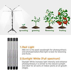 GHodec Grow Light with Stand, 80 LED 5500K Full Spectrum Floor Plant for Indoor Plants Growing,5 Dimmable Levels & Auto On/Off Timer,Tripod Stand Lamp Height Adjustable