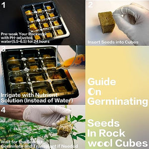 CastleGreens Rock Wool Planting Cubes, Rockwool Cubes 1 inch, Rockwool Cubes for Hydroponics, Great for Rooting, Cuttings, Cloning Plants, Seed Germination (4 Sheets, 200 Cubes Total)