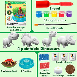 Creative Kids Miracle GRO Dinosaur Garden Kit, Multicolor