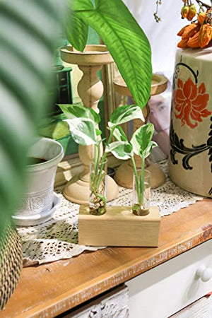 Ivolador Crystal Glass Double Test Tube Plants Terrariums in Wooden Stand Propagation Station for Hydroponic Plants Office Home Decoration
