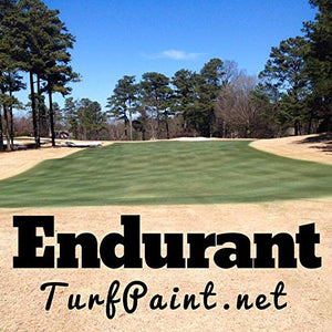 Endurant Turf Colorant – 1 Gallon Jug Revitalizes Approximately 5,000 Sq. Ft of Dormant, Drought-Stricken or Patchy Lawn