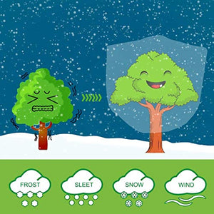 HHTHH 3 pcs Green Frost Plant Cover 63"x39" Freeze Protection Bag for Shrub Fruit Trees Rose Bush in Winter (Material 60g/m²)