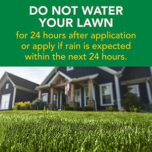 Scotts Turf Builder Weed & Feed3, Weed Killer Plus Lawn Fertilizer, Controls Dandelion and Clover, 5,000 sq. ft., 14.29 lbs.