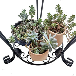 CASIMR 2 Tier Plant Stand, 19.2 inch Tall Metal Potted Holder Rack,Indoor Outdoor Multiple Flower Pot Shelf Rustproof Iron Garden Container for Garden Patio Living Room Corner Balcony, Black