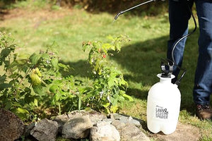Flo-Master by Hudson 24101 1 Gallon Lawn and Garden Tank Sprayer, Translucent