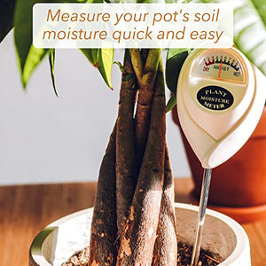 Classy Casita Soil Moisture Meter: Houseplant Care with eBook - Hydrometer Sensor For Plants - Essential Moisture Meter for Indoor & Outdoor Plants - Gardening Gadgets & Houseplant Accessories - White