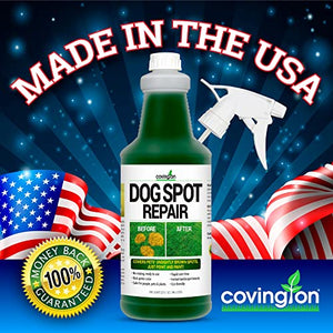 Covington Pre-Mixed Green Grass Paint for Lawn - Perfect Grass Color Fix for Dog Urine Spots or Brown Patches - Green Grass Spray Paint for Lawn & Turf - Just Point & Spray - (32 fl. oz.)