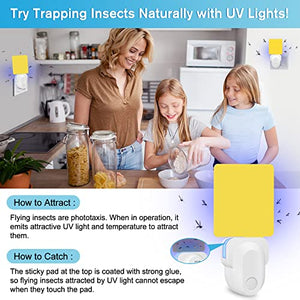 Flying Insect Trap Plug-In, 2023 Upgrade Mosquito Trap Gnat Killer, Safe Non-Toxic UV Light Attractant Indoor Plug-In Night Light Fly Trap with Sticky Pad for Flies, Gnats, Moths(1 Pack, White)