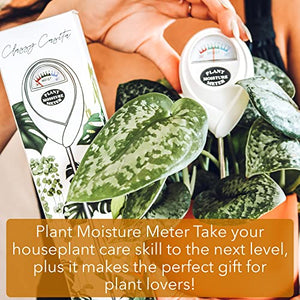Classy Casita Soil Moisture Meter: Houseplant Care with eBook - Hydrometer Sensor For Plants - Essential Moisture Meter for Indoor & Outdoor Plants - Gardening Gadgets & Houseplant Accessories - White