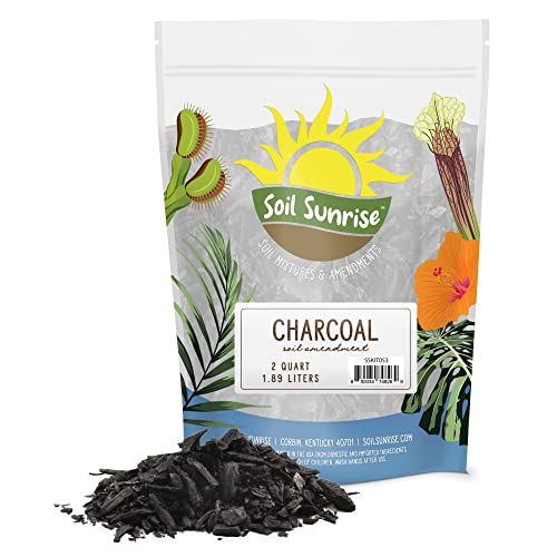 Horticultural Charcoal for Indoor Plants (2 Quarts), Hardwood Soil Additive for Orchids, Terrariums, and Gardening