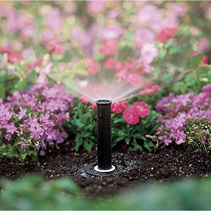 Rain Bird 4AP Adjustable Pattern Spray Nozzle, Adjustable 0° - 360° Pattern, 3' - 4' Spray Distance
