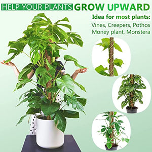 Moss Pole for Plants Monstera 56 Inch, 4 Pcs 17.7 Inch Moss Poles for Climbing Plants, Coir Totem Pole Moss Stick for Plant Support Extension, Train Potted Creepers to Grow Upwards, 65 Feet Twist Tie