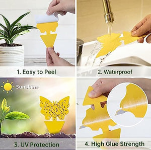 36 Pack Sticky Traps Plant Trap for Fungus Gnat, Fruit Fly Traps for Mosquito and Bug Indoor & Outdoor, Pest Insect Catcher Killer
